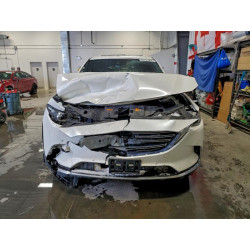 2020 MAZDA CX-9 JM3TCBEY9L0400522 98701965
