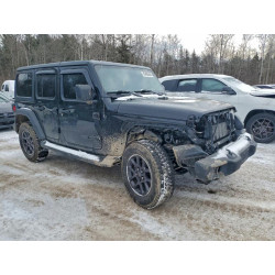 2021 JEEP WRANGLER 1C4HJXDG6MW791864 95496445