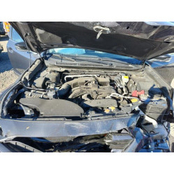2024 SUBARU OUTBACK 4S4BTACC0R3102031 81669655