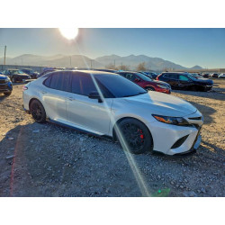 2020 TOYOTA CAMRY 4T1NZ1AK9LU043892 96840355