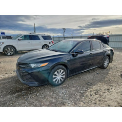 2020 TOYOTA CAMRY 4T1C31AK5LU539118 98046815