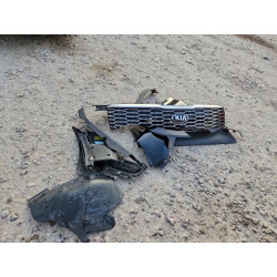 2020 KIA TELLURIDE 5XYP3DHC3LG057447 98075035