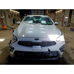 2020 KIA FORTE 3KPF24AD1LE161403 96444895