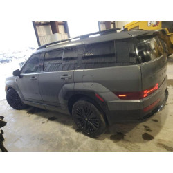 2025 HYUNDAI SANTA FE 5NMP5DG12SH048866 93542055