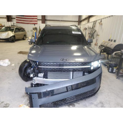 2025 HYUNDAI SANTA FE 5NMP5DG12SH048866 93542055