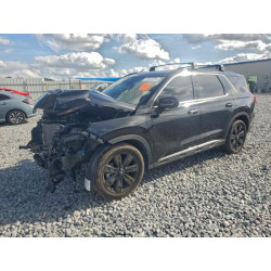 2023 HYUNDAI PALISADE X KM8R3DGE4PU531594 97541975