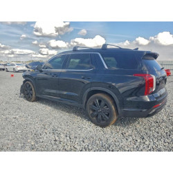 2023 HYUNDAI PALISADE X KM8R3DGE4PU531594 97541975