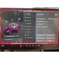 2024 TESLA MODEL Y 7SAYGDEE7RA244818 96036955