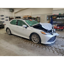 2020 TOYOTA CAMRY 4T1F11AK4LU857380 94140725