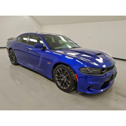 2020 DODGE CHARGER 2C3CDXGJ7LH194796 96125625
