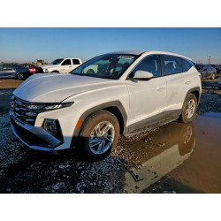 2025 HYUNDAI TUCSON 5NMJA3DE1SH542994 96406865