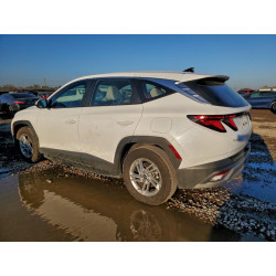 2025 HYUNDAI TUCSON 5NMJA3DE1SH542994 96406865