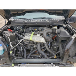 2024 FORD All Models 1FTEW3KP7RKF28359 96562415