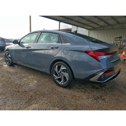 2025 HYUNDAI ELANTRA KMHLS4DG3SU913249 99599295