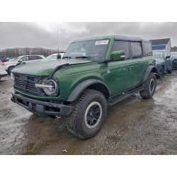 2024 FORD BRONCO OUT 1FMEE8BP8RLA41595 99247145