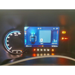 2024 FORD BRONCO OUT 1FMEE8BP8RLA41595 99247145