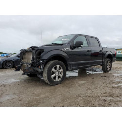 2020 FORD F-150 1FTEW1EPXLKD68503 86113595