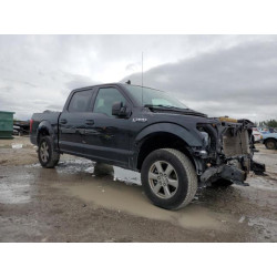 2020 FORD F-150 1FTEW1EPXLKD68503 86113595