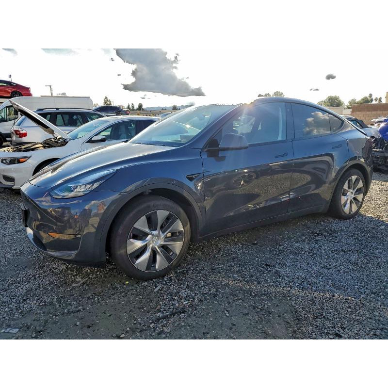 2020 TESLA MODEL Y 5YJYGDEE1LF010083 99284925