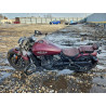 2022 INDIAN MOTORCYCLE CO. MOTORCYCLE 56KMTA002N3187465 97143395