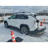2020 TOYOTA RAV4 JTMA1RFV8LD063028 96201025