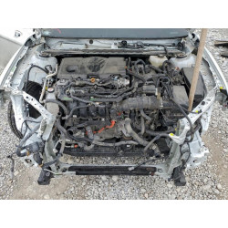2025 TOYOTA CAMRY 4T1DBADK7SU505196 98011835
