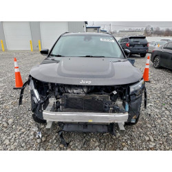 2022 JEEP COMPASS 3C4NJDCB1NT113912 98187665