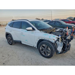 2025 HYUNDAI TUCSON 5NMJB3DE0SH482641 94799865