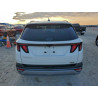 2025 HYUNDAI TUCSON 5NMJB3DE0SH482641 94799865