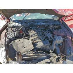 2024 FORD ALL Models 1FA6P8TH4R5135266 96194825