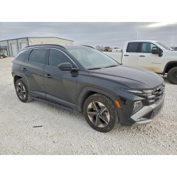 2025 HYUNDAI TUCSON 5NMJB3DEXSH532008 99008915