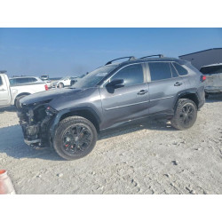 2025 TOYOTA RAV4 4T3E6RFV1SU189526 99664455