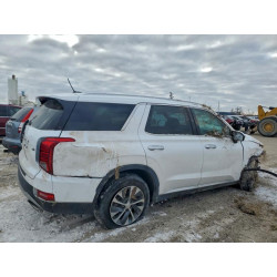 2021 HYUNDAI PALISADE KM8R2DHE9MU226055 99053775