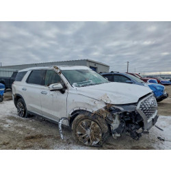 2021 HYUNDAI PALISADE KM8R2DHE9MU226055 99053775