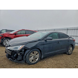 2020 HYUNDAI ELANTRA 5NPD84LF3LH519388 99566985