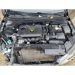 2020 HYUNDAI ELANTRA 5NPD84LF3LH519388 99566985