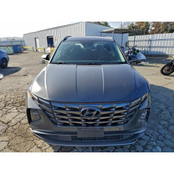 2023 HYUNDAI TUCSON 5NMJECAE2PH167178 95710755