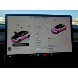 2023 TESLA MODEL 3 5YJ3E1EA9PF572704 96140295