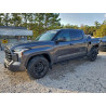 2024 TOYOTA TUNDRA 5TFLA5AB2RX036266 95993485