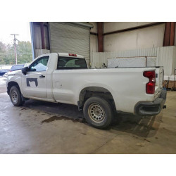 2024 CHEVROLET ALL Models 3GCNAAEK8RG330240 95978315