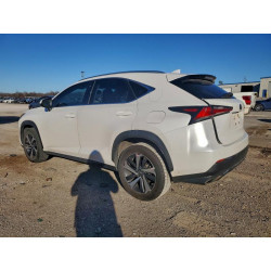 2020 LEXUS NX JTJGARBZ8L5006774 72876575