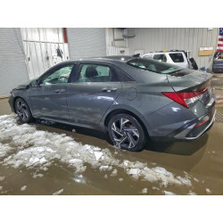 2025 HYUNDAI ELANTRA KMHLS4DG4SU025416 99821345