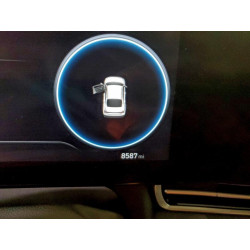 2025 HYUNDAI ELANTRA KMHLS4DG4SU025416 99821345