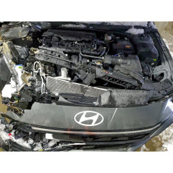2025 HYUNDAI ELANTRA KMHLS4DG4SU025416 99821345