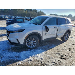 2023 HONDA CRV 5J6RS4H71PL003308 99529615