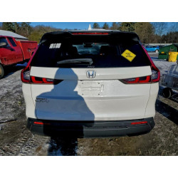 2023 HONDA CRV 5J6RS4H71PL003308 99529615