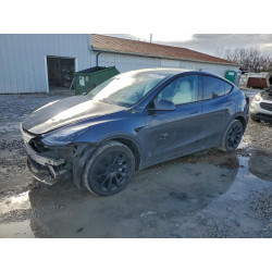 2024 TESLA MODEL Y 7SAYGDEE8RA216655 95164205