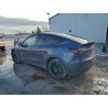 2024 TESLA MODEL Y 7SAYGDEE8RA216655 95164205