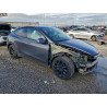 2024 TESLA MODEL Y 7SAYGDEE8RA216655 95164205