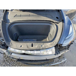 2024 TESLA MODEL Y 7SAYGDEE8RA216655 95164205